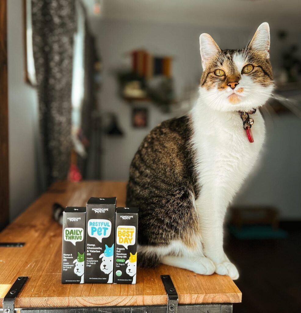 Homescape Pets E Black Owned Elite directory