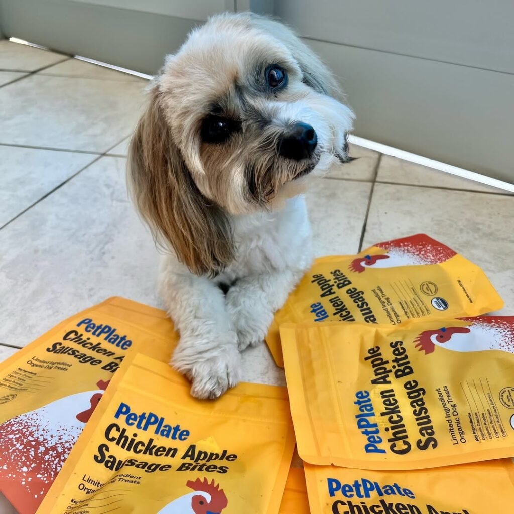 PetPlate B Black Owned Elite Directory large