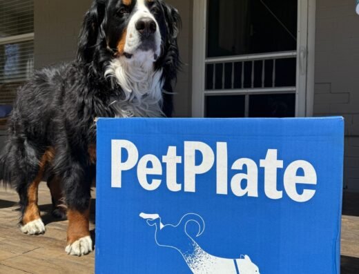 PetPlate F Black Owned Elite Directory