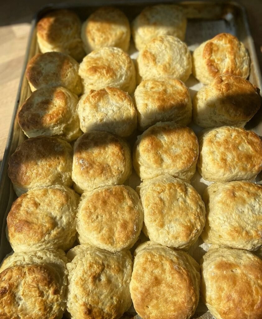 Bomb Biscuit Co 0A0ABenjamin Crump C Black Owned Elite Directory large